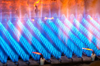 Leanach gas fired boilers